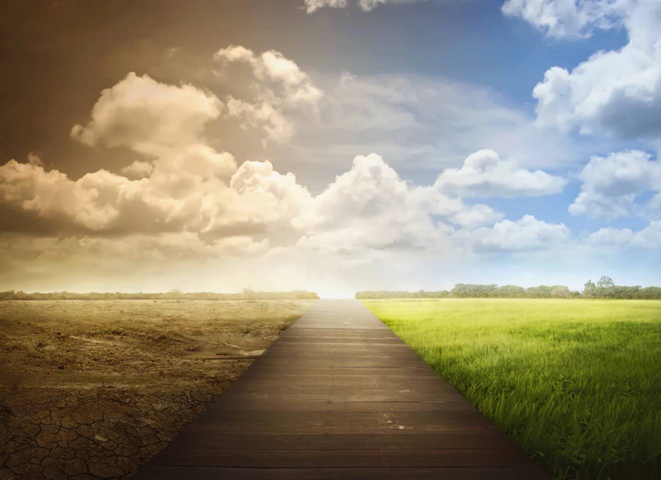 changing landscape